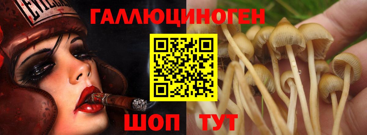 Галлюциногенные грибы ЛСД Королёв