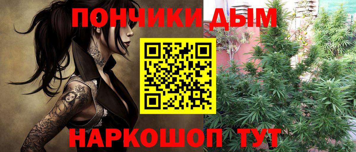 Марихуана SATIVA & INDICA Королёв